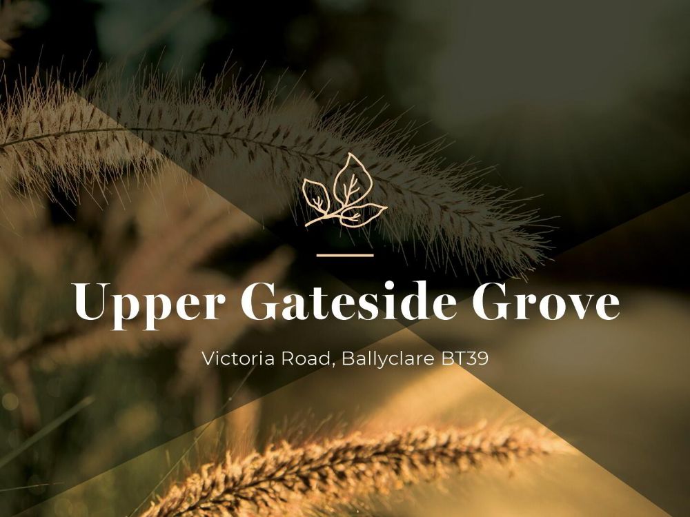 Upper Gateside Grove