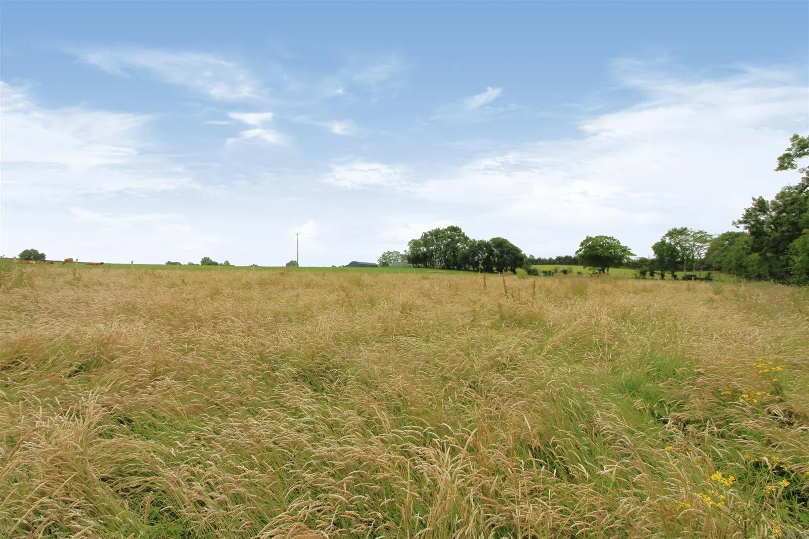 land for sale at Agricultural Land 180m SE Of 35 Blackstone Road Ballymena BT44 8HB